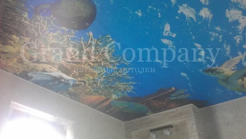 Фотопечать на натяжном потолке цена